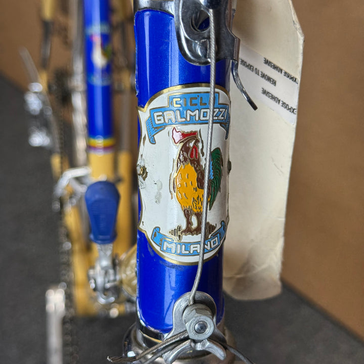 Galmozzi, Rare Vintage Luxury Relic Italian Road Bike-1960s