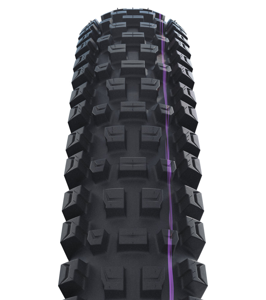 Schwalbe Albert Trail Pro Evo Tire, TLR, Radial, Addix Ultra Soft Black 29 x 2.50