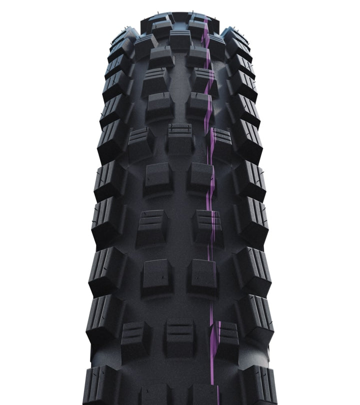 Schwalbe Magic Mary Trail Pro Tire, TLR, Radial, Addix Ultra Soft, Black - 29x2.50