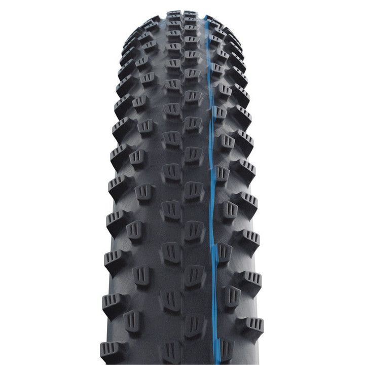Schwalbe Racing Ray Tire, TLE, Super Ground, Addix SpeedGrip, Black - 29x2.25