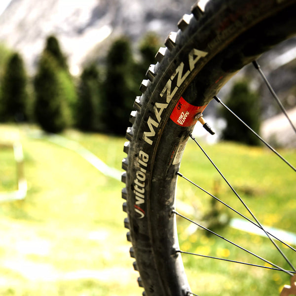 Vittoria Mazza Race Enduro Tire, 2PLY, Black, G2.0 - 29 x 2.4