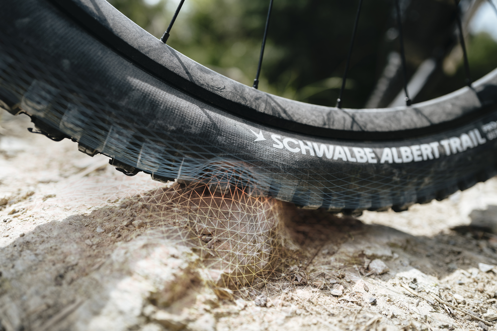 Schwalbe Albert Trail Pro Evo Tire, TLR, Radial, Addix Ultra Soft Black 29 x 2.50