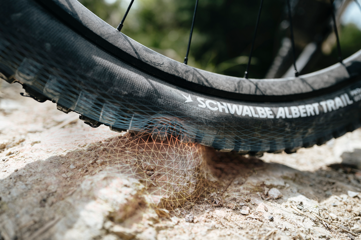 Schwalbe Albert Trail Pro Evo Tire, TLR, Radial, Addix Ultra Soft Black 29 x 2.50