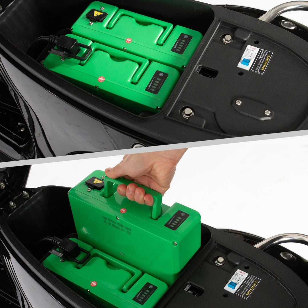 72V20AH Lithium Ion Battery (Compatible with EV29/EV30/EV4DOG Sidecar)
