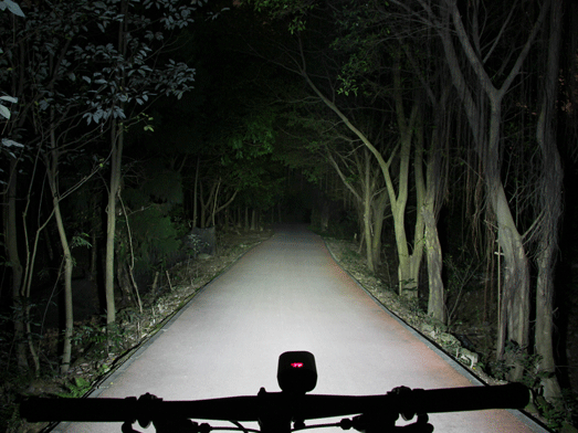 Ravemen LS30 Light Set PR1600 + TR300
