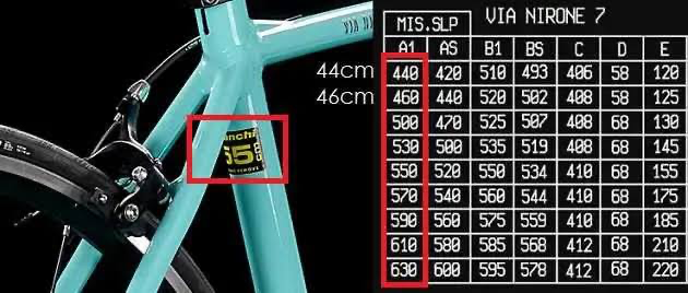 Bianchi aria size chart hotsell