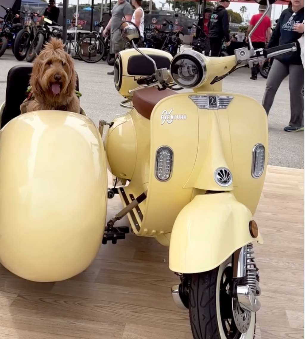 Aventura-X EV4DOG Electric Sidecar Moped, Street Legal, 30mph, 50-mile range