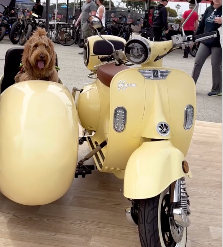 Aventura-X EV4DOG Electric Sidecar Moped, Street Legal, 30mph, 50-mile range