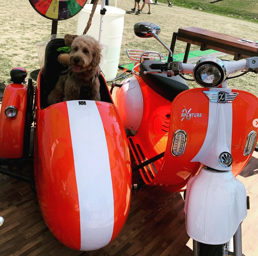 Aventura-X EV4DOG Electric Sidecar Moped, Street Legal, 30mph, 50-mile range