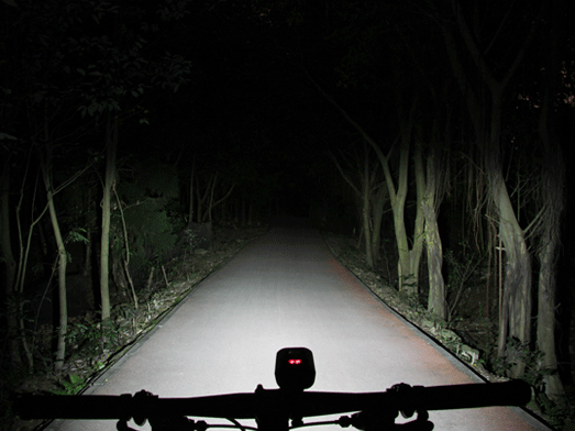 Ravemen LS30 Light Set PR1600 + TR300