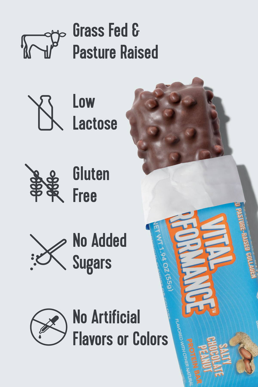 Vital Performance Protein Bar Salty Chocolate Peanut 1.94oz 12ct