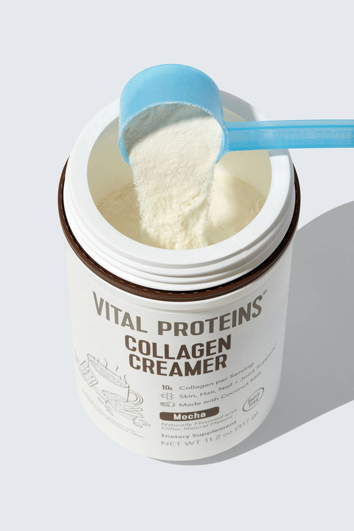 Vital Proteins Collagen Creamer Mocha 11.2oz