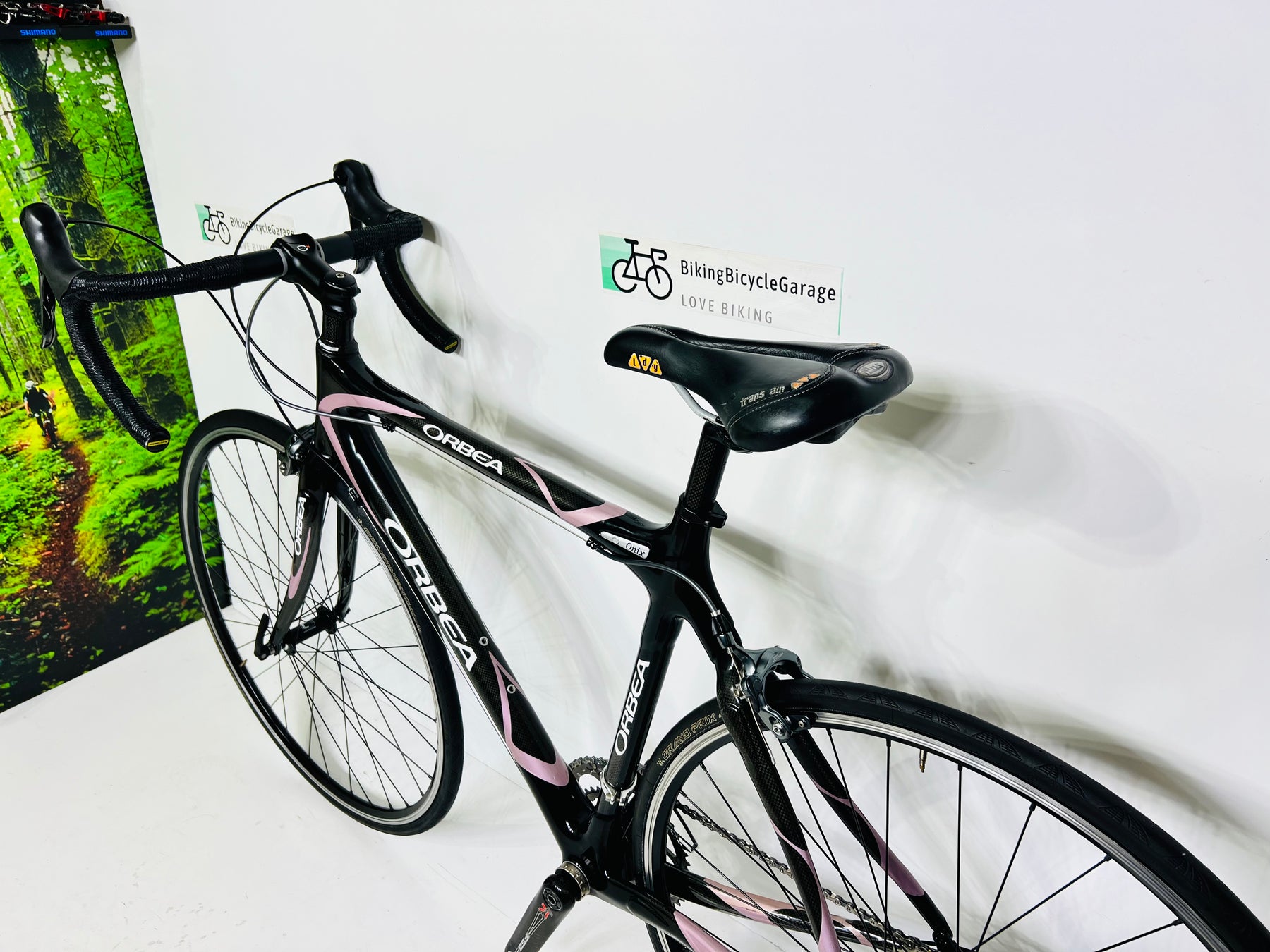 Orbea onix price shop