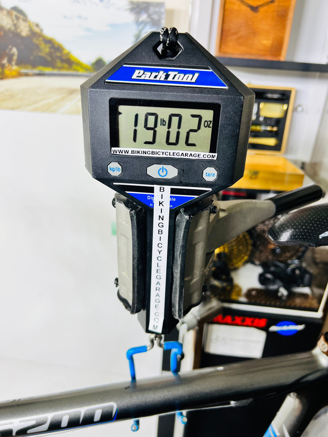 Trek 5200 Carbon Fiber Road Bike- 54 cm