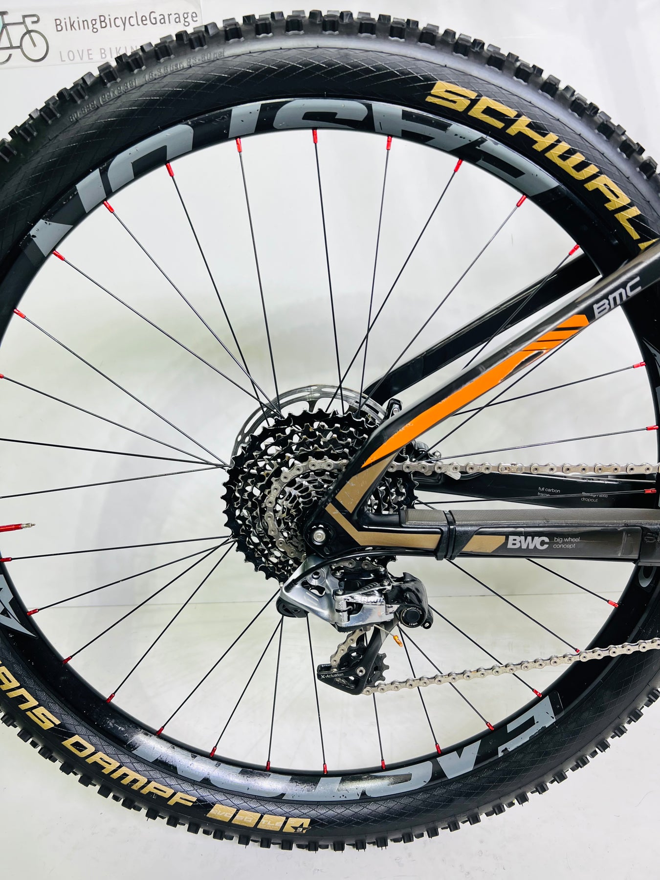 Speedfox sf01 sales