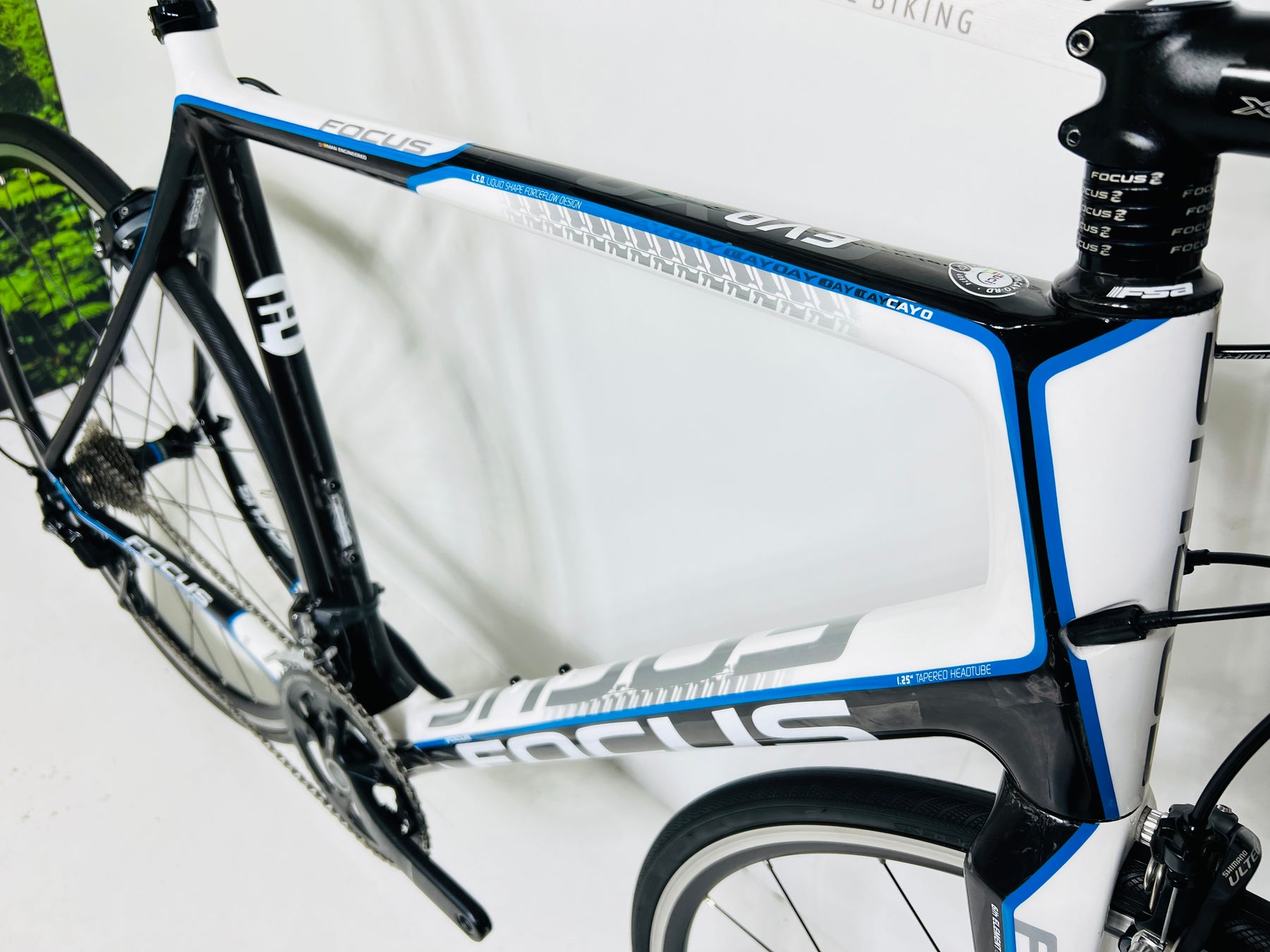 Focus best sale cayo 2013